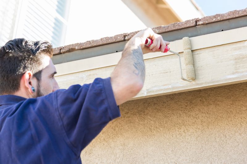 Exterior Cladding Painting