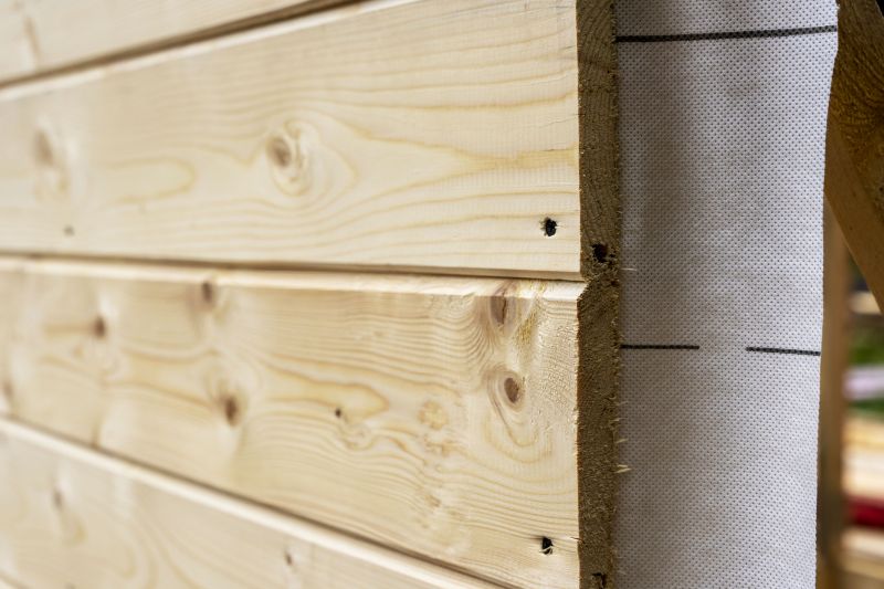 Exterior Cladding Painting