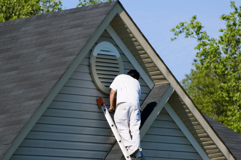 Experienced Siding Painters